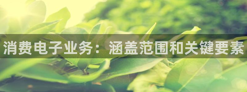 凯发k8国际手机网页|消费电子业务：涵盖范围和关键要素