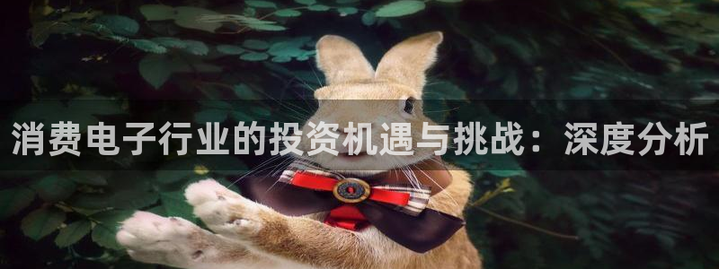 凯发k8登录首页|消费电子行业的投资机遇与挑战：深度分析