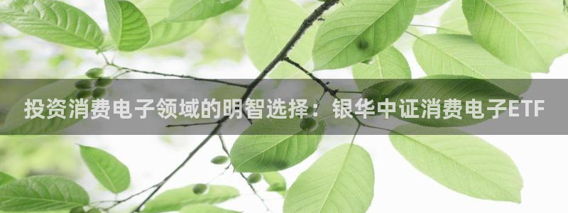 凯发k8唯一官方|投资消费电子领域的明智选择：银华中证消费电子ETF